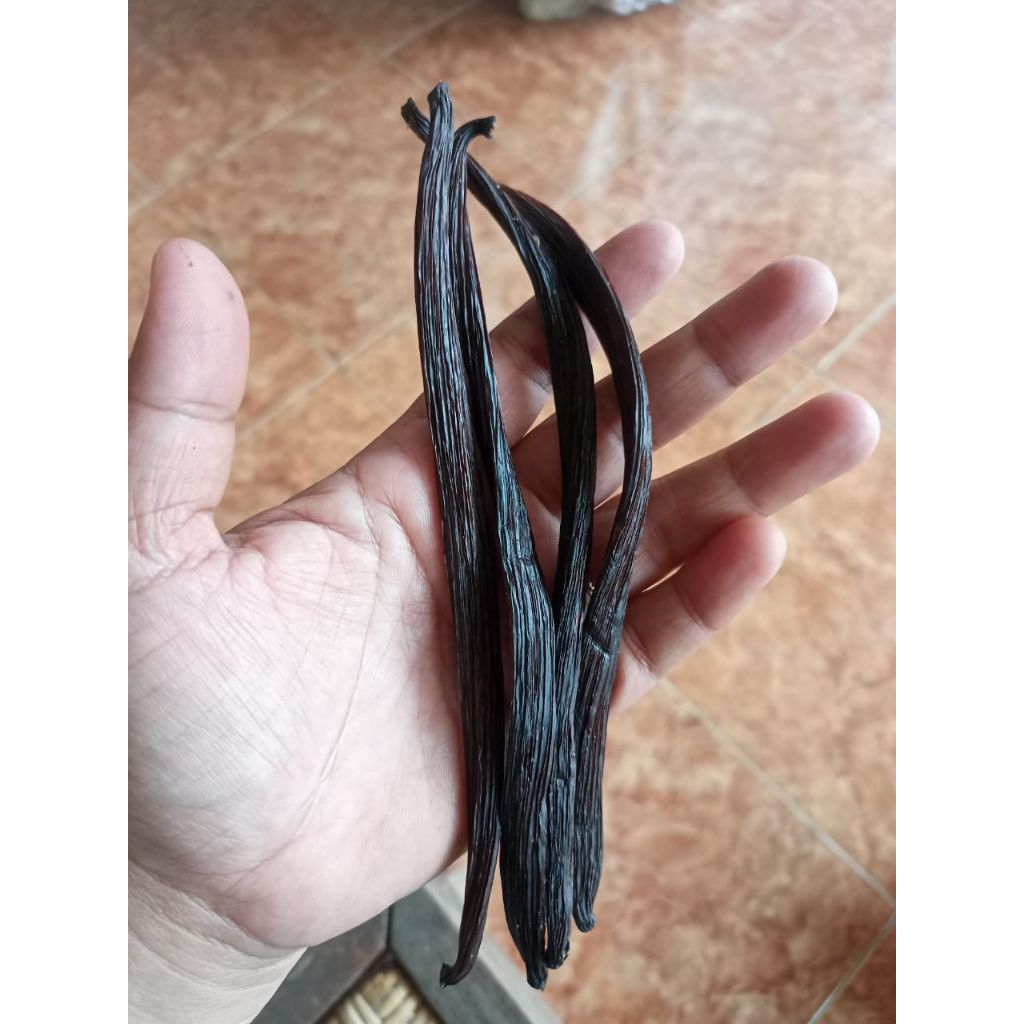 

VANILI KERING/VANILA ALAMI PANEN SENDIRI PANJANG 18-20CM