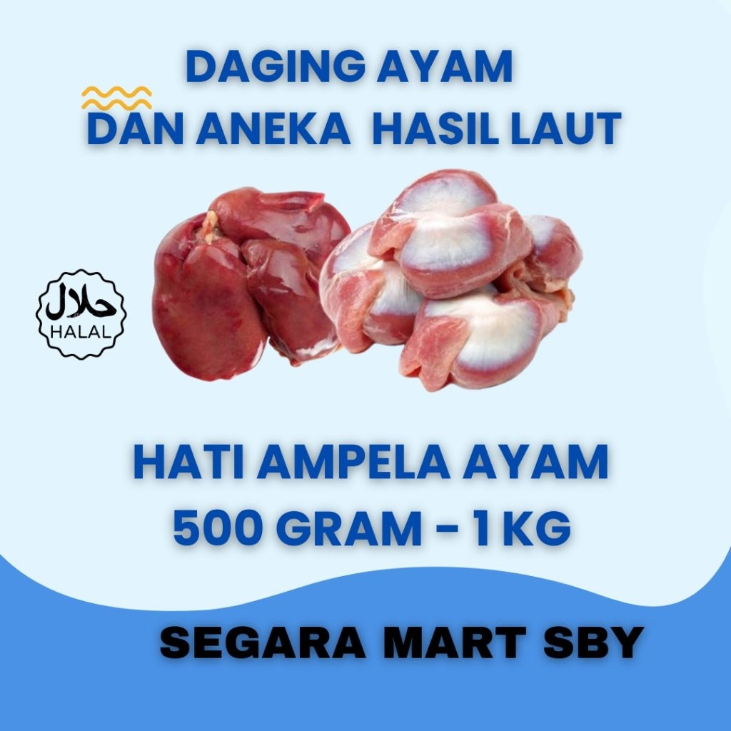 

HATI AMPELA AYAM BERSIH 500 GR - 1 KG || Segara Mart