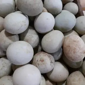 

Telor Bebek Mentah 2 pcs