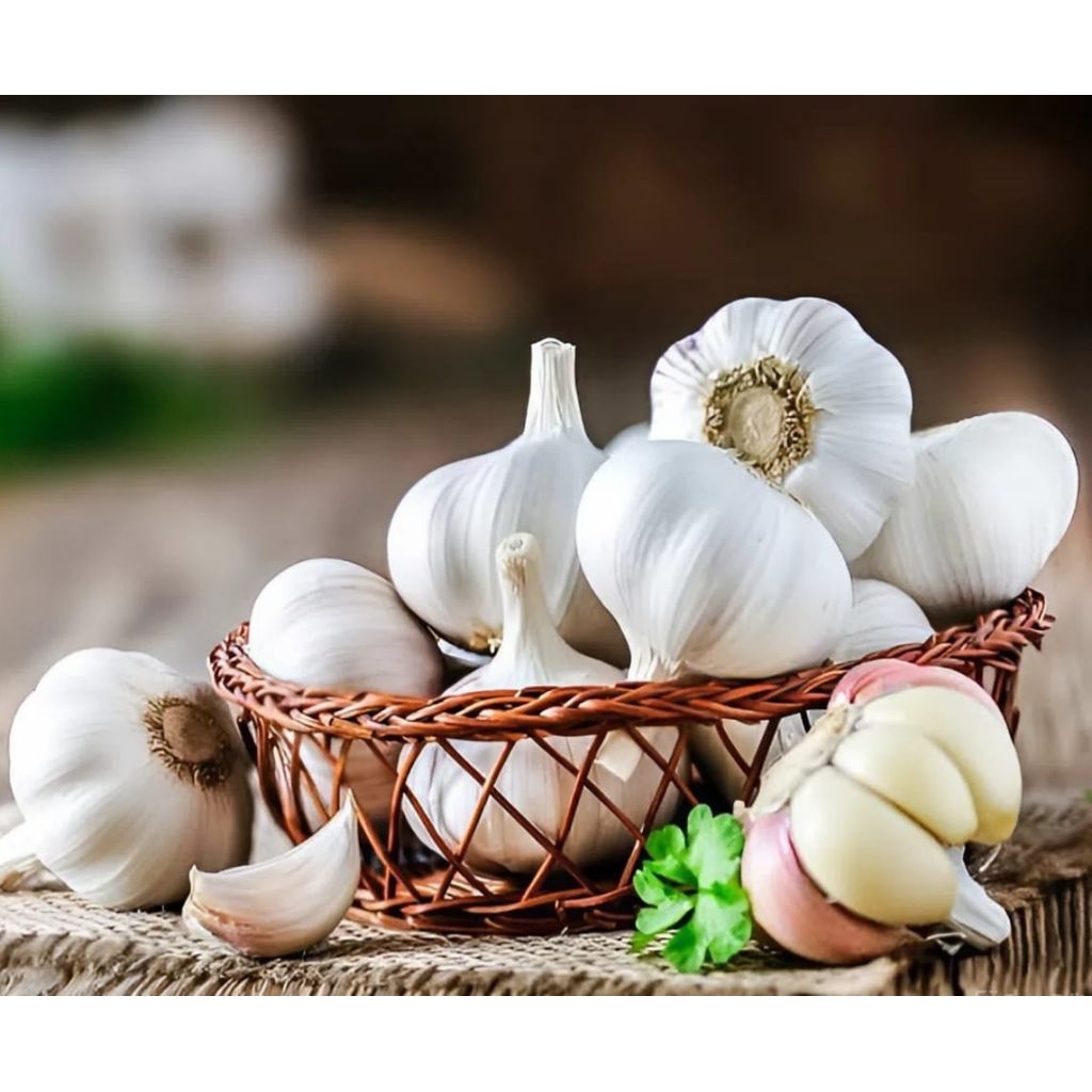 

bawang putih reguler 1 kg