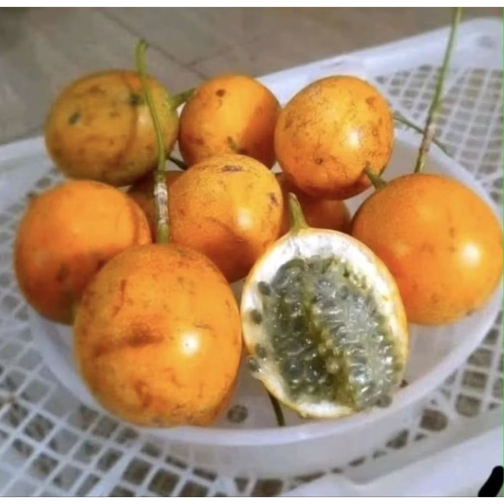 

Buah Markisa Manis/Konyal Manis 1Kg Segar