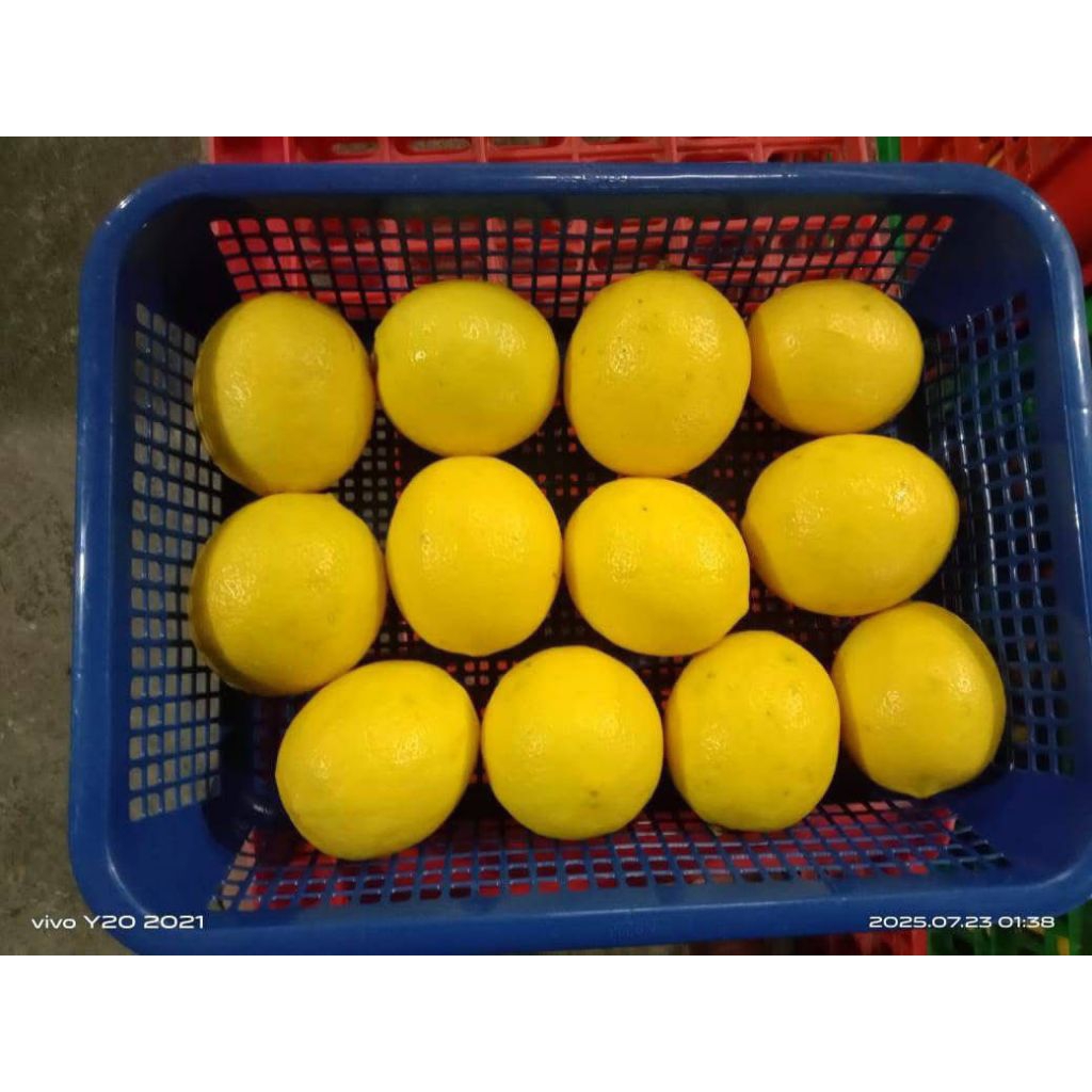 

Jeruk Lemon California Fresh Segar 1kg