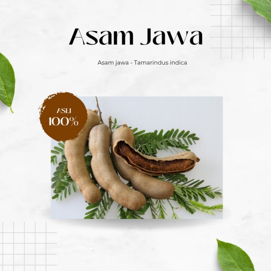 

Asam Jawa Segar Asli 100%