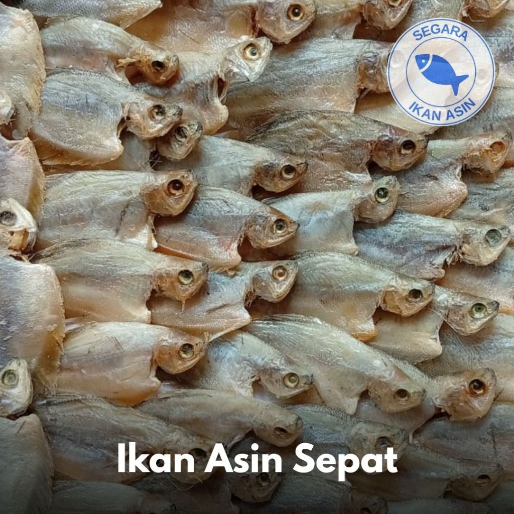 

Ikan Asin Sepat | 250 gr / 500 gr / 1 kg