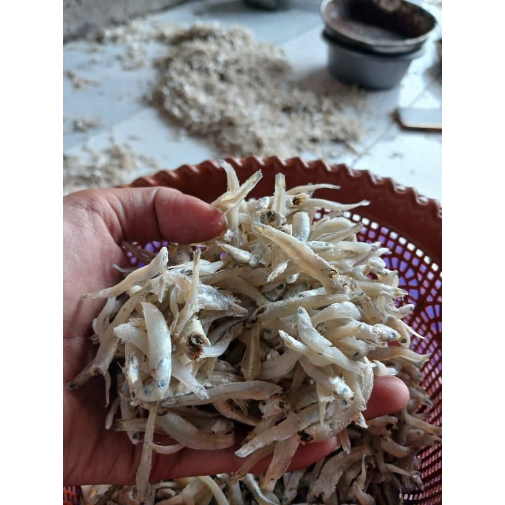 

ikan teri Butio 1000 gram/ikan asin/ikan teri premium