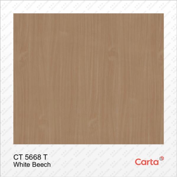 HPL CARTA CT 5668 T WHITE BEECH