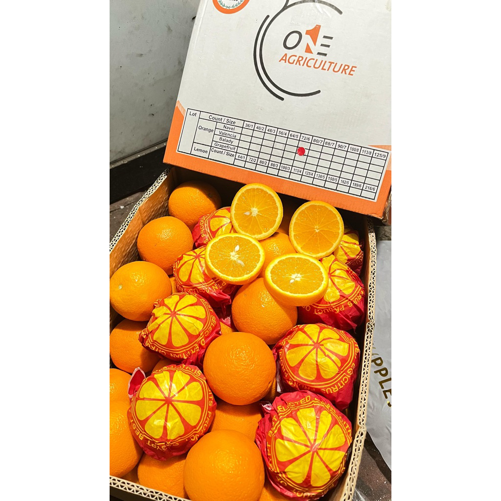 

[TERMURAH] JERUK SUNKIS NAVEL 1000 gr