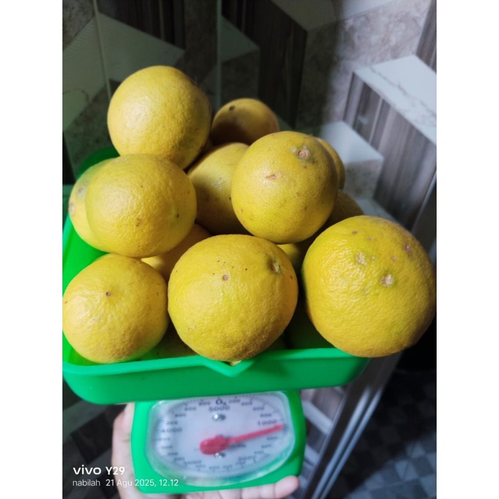 

jeruk nipis kuning segar 1 kg