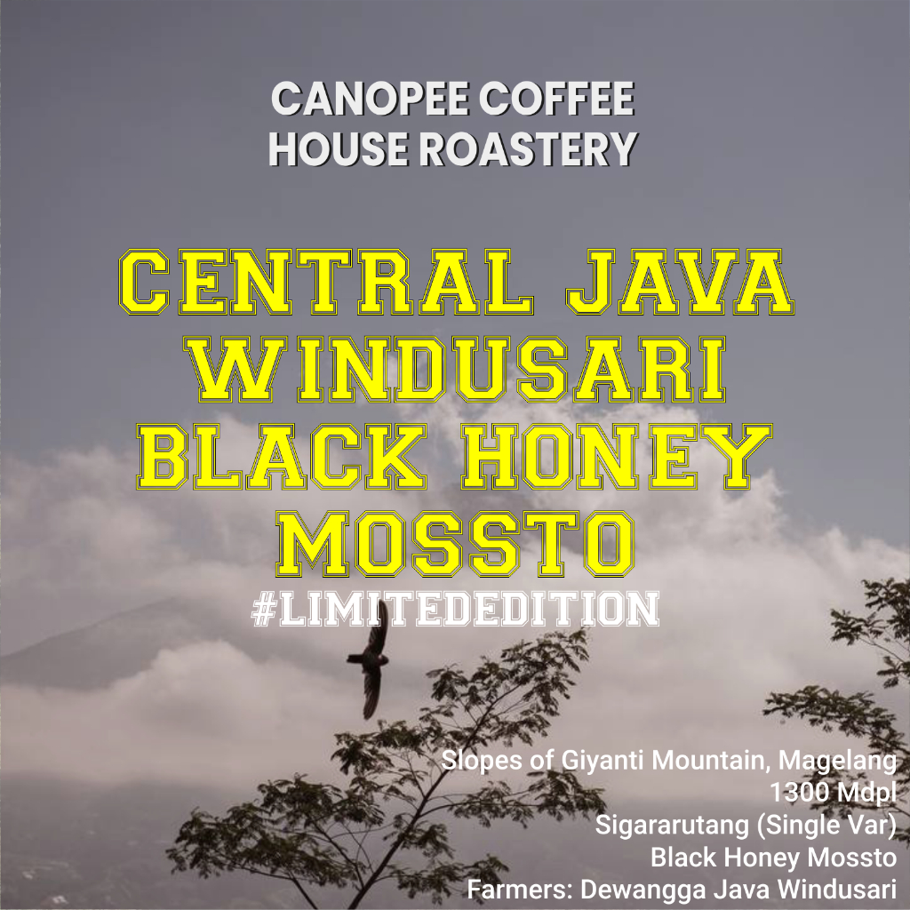 

Arabika "CENTRAL JAVA Windusari Black Honey Mossto" - Limited Edition Series