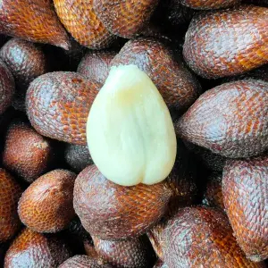 

salak kupas 500g