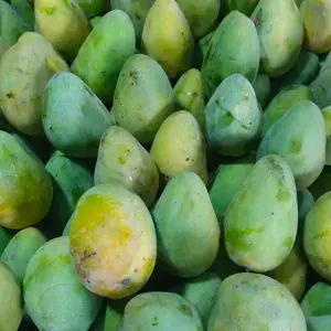 

mangga harumanis 1kg