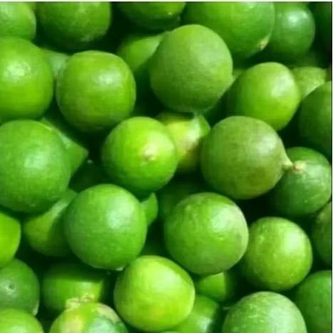 

Termurah 1kg jeruk nipis fress dan segar silahkan di order