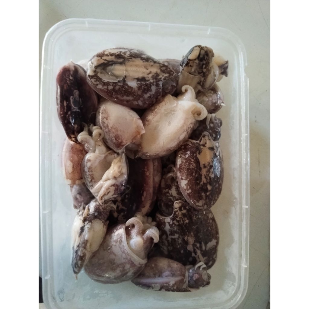 

CUMI FROZEN BEKATAK