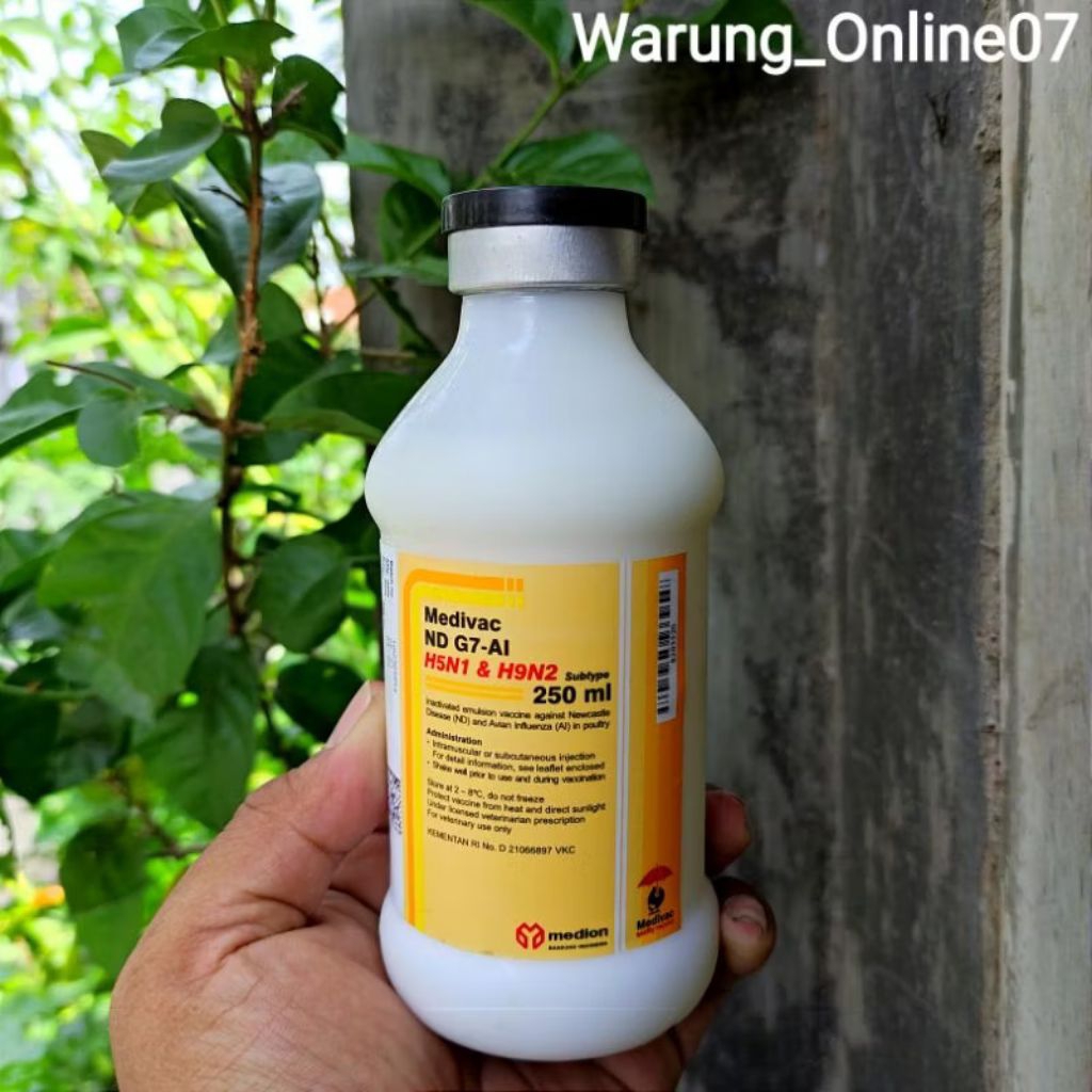 Vaksin Medivac ND G7 AI H9N2 & H5N1 Dosis 250ml - Efektif Mencegah Tetelo Virus G7 Infeksi Saluran P