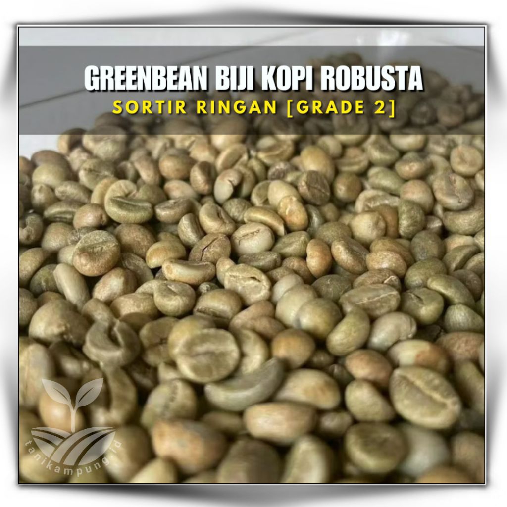 

GreenBean Biji Kopi Robusta Asli Purbalingga 1 kg Siap Sangrai | Langsung dari Petani