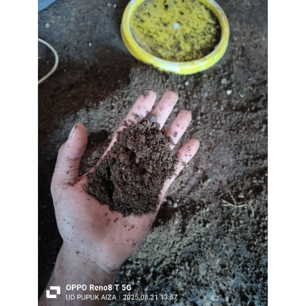 kohe kambing fermentasi halus