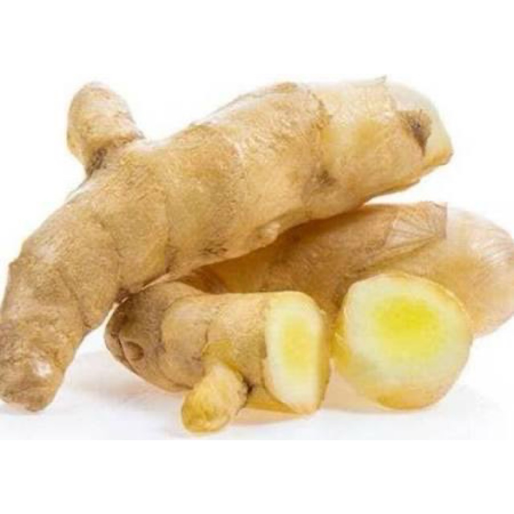 

Temu Putih | 500gr / 1kg | untuk Bumbu Masakan / Herbal