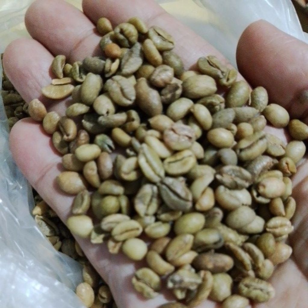 

kopi buriyah 1kg