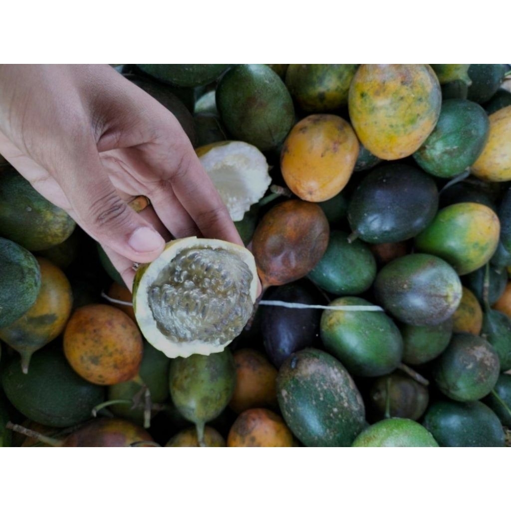 

buah markisa konyal madu 500gram