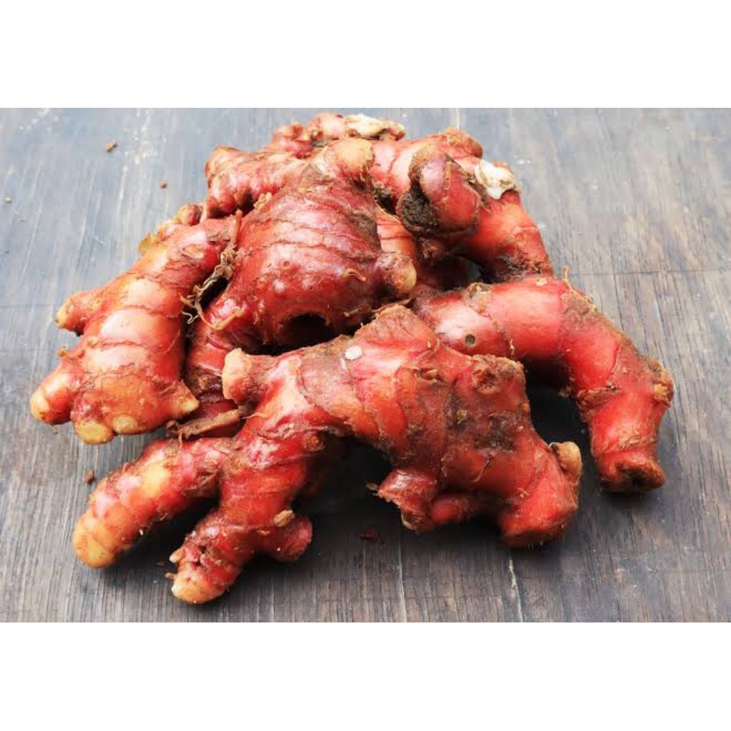 

Jahe Merah 250 gr Fresh (Rempah Segar)