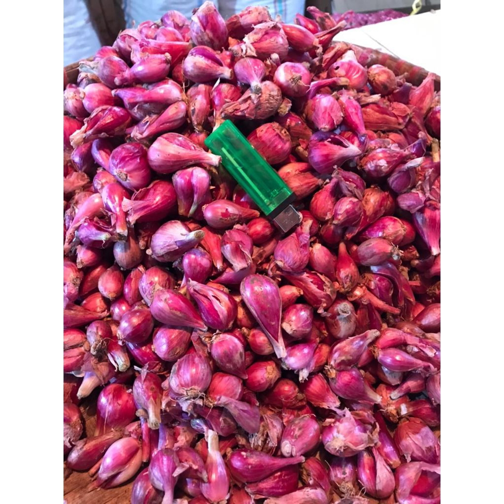 

bawang merah asli Brebes