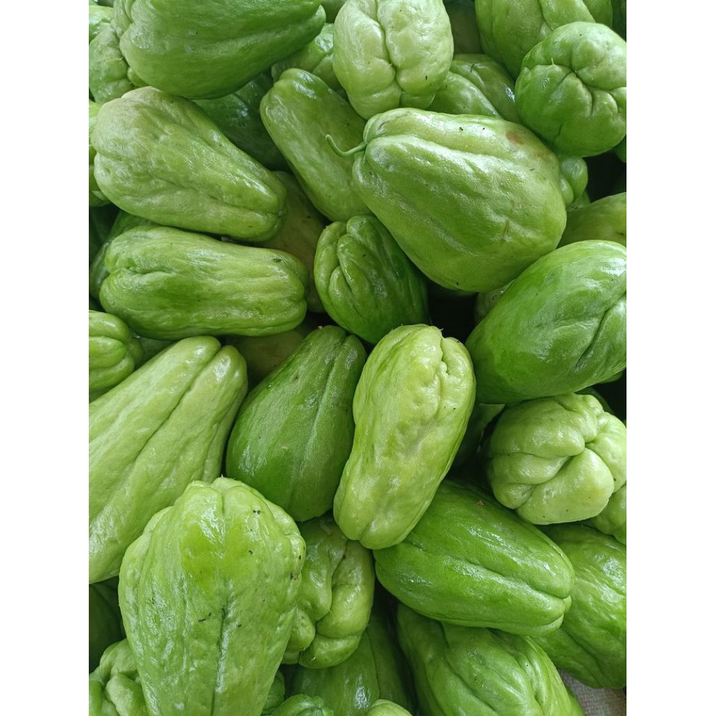 

Labu Siam fresh 1KG / waluh cina / jipang langsung kirim