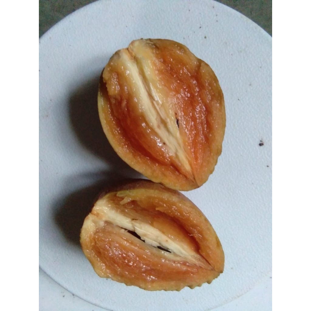 

Sawo Madu Murah Ukuran Super