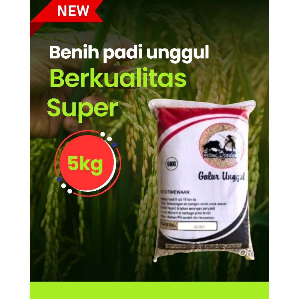 benih padi Cibogo 02 kemasan5kg