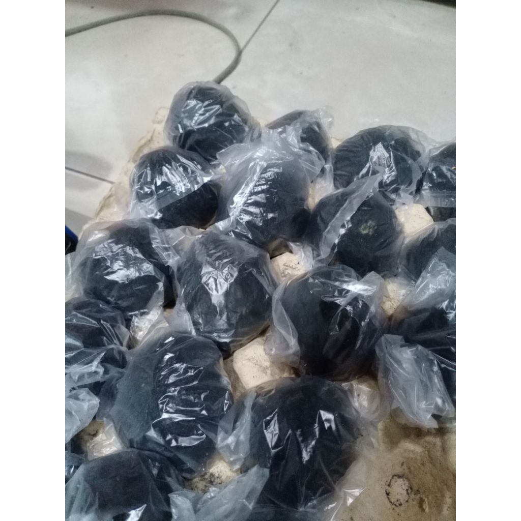 

telur bebek asin mentah AB