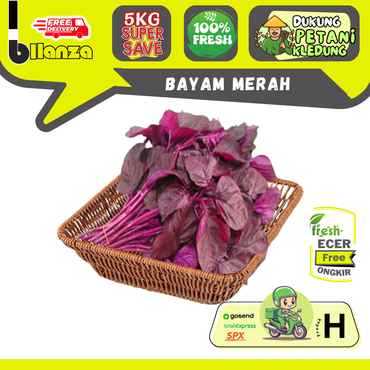 

Bllanzanow | Bayam Merah Segar — Sayur Gunung ECER (H)