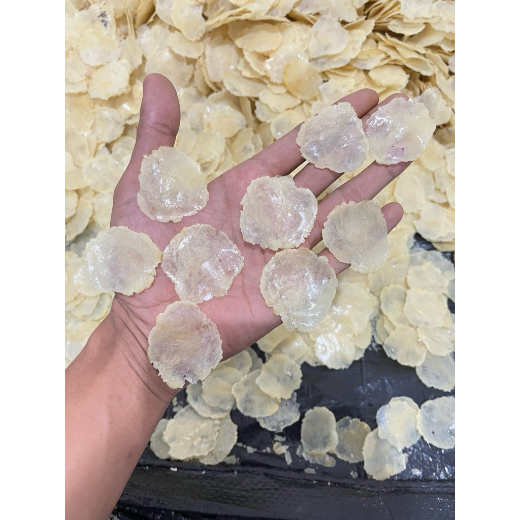 

EMPING MELINJO MENTAH 1KG (TERMURAHHH) FULL KERING PASAR SIAP GORENG SP BIJI 1&2