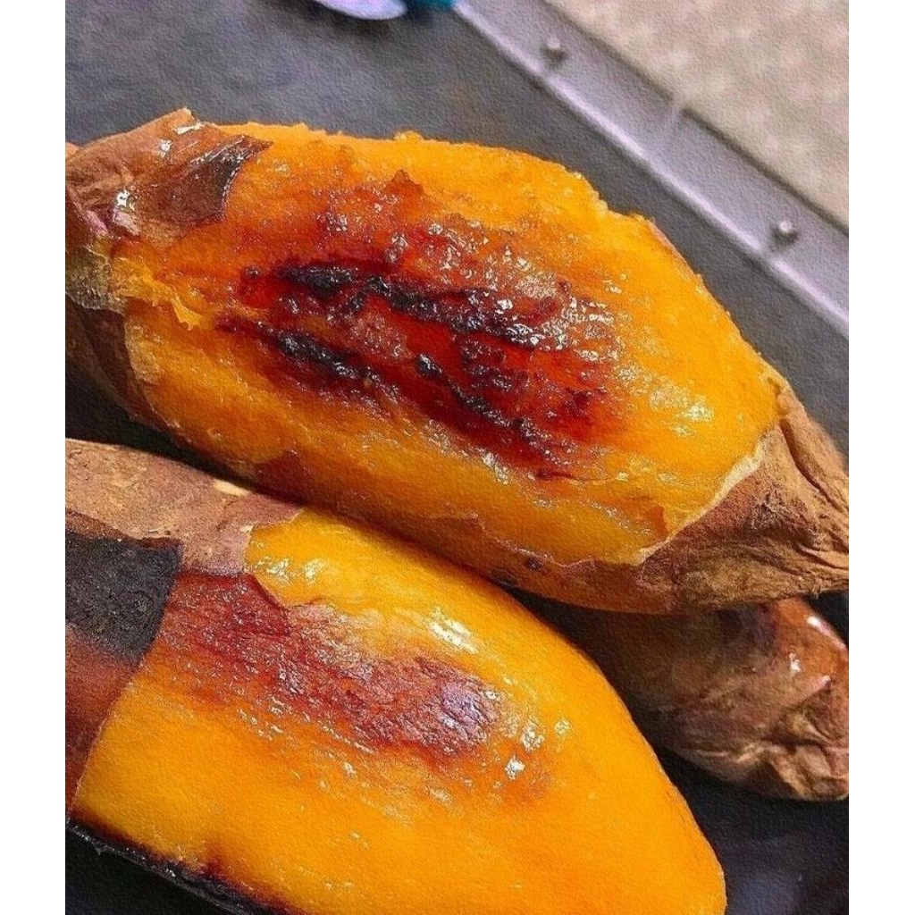 

ubi madu Cilembu oven 1 kg