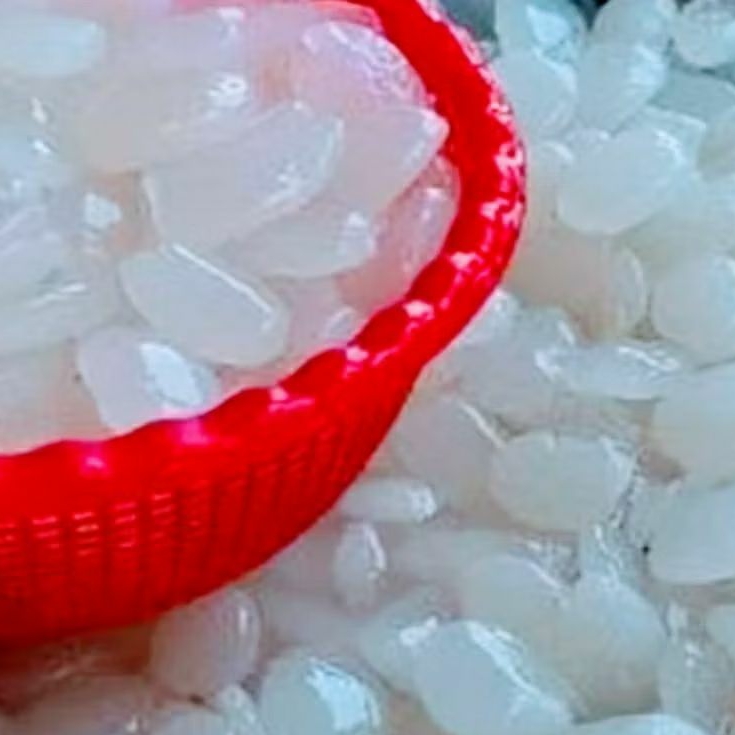 

KOLANG KALING SUPER 1 KG FRESH BERKUALITAS GARANSI