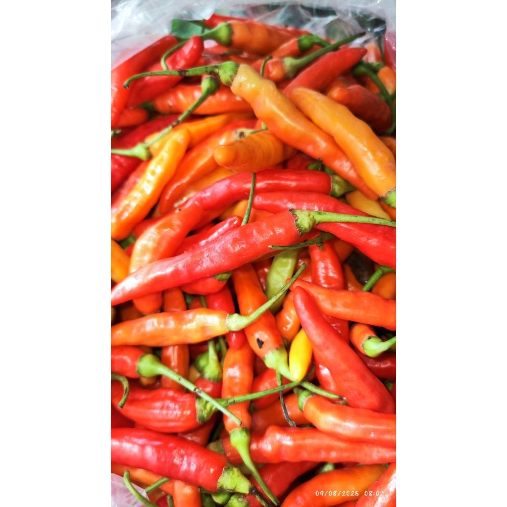 

CABE RAWIT MERAH 500GR