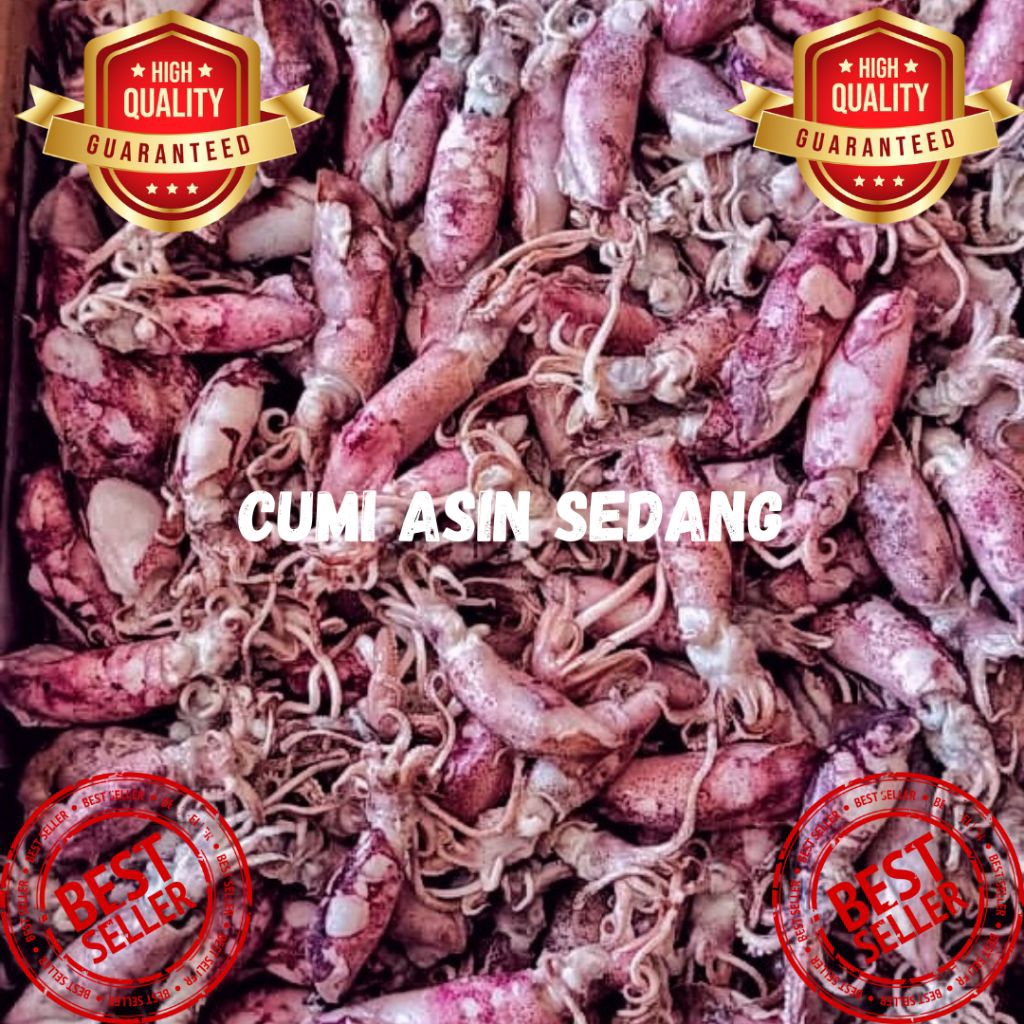 

ikan asin / cumi asin sedang