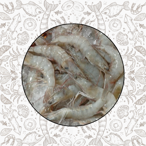 

1/2KG UDANG PECI FRESH FROZEN QUALITY PREMIUM