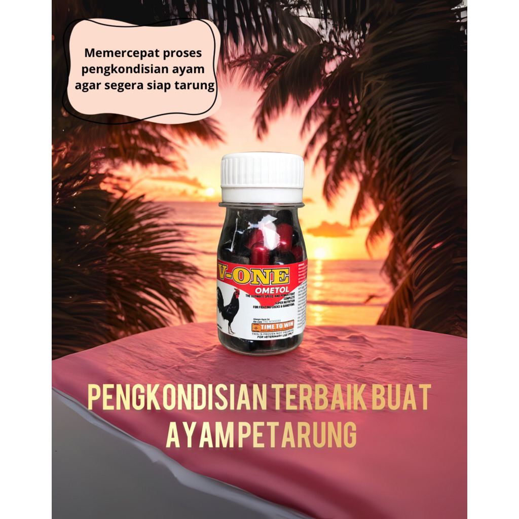 V one Vitamin conditioning ayam aduan perawatan ayam philipin ayam pisau peru birma bangkok taji adu