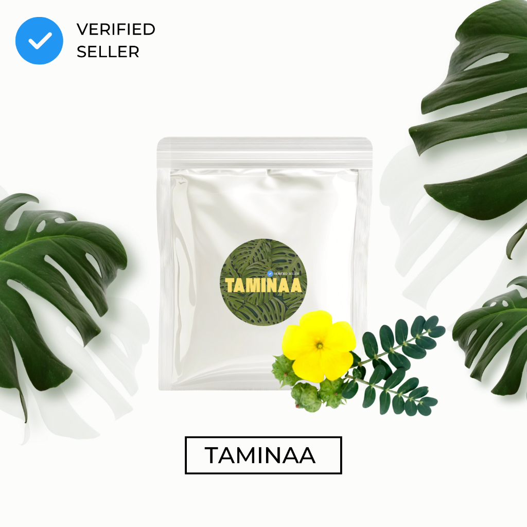 

Tribulus Terrestris Powder Gokshura Bubuk Rujak Polo Abrojo 10gr