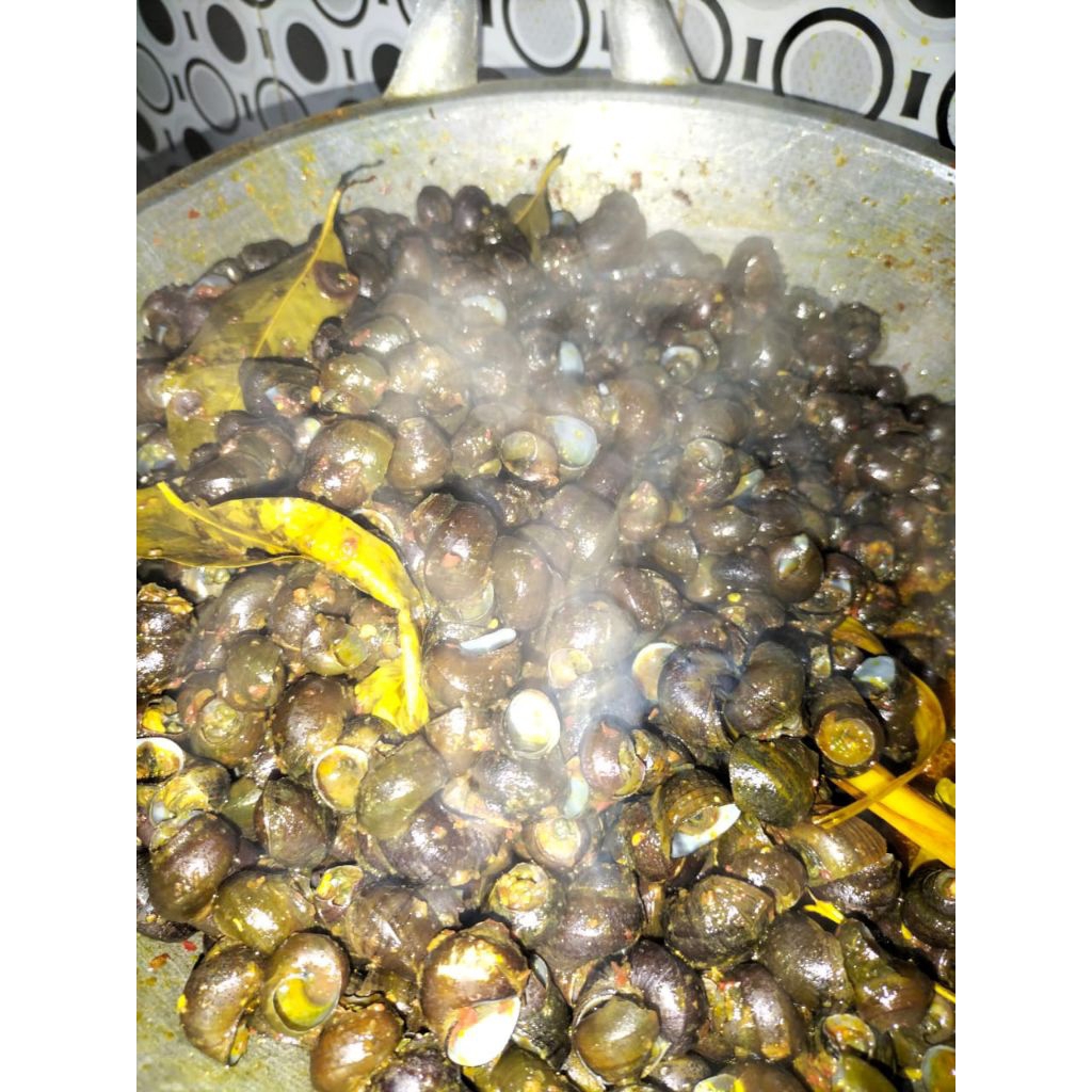 

Tutut Sawah Siap Saji Pedas 1 kg Kualitas Pres Halal