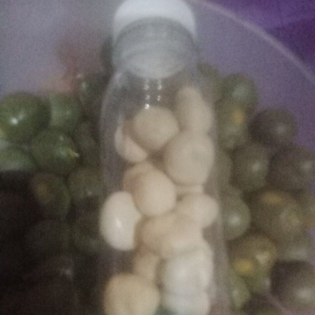 buah kebiul gorek kalaloyang herbal diabetes