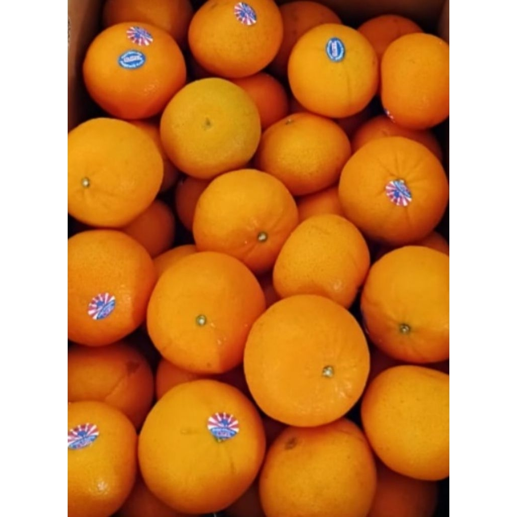 

JERUK MURCOT PHOENIX AUSTRALIA (BERAT 1 KG)