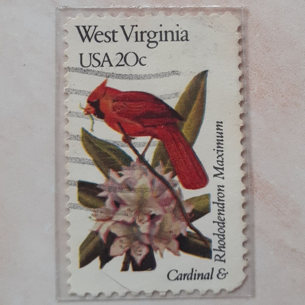 

Perangko USA State Birds & Flowers Issue (West Virginia) Tahun 1982