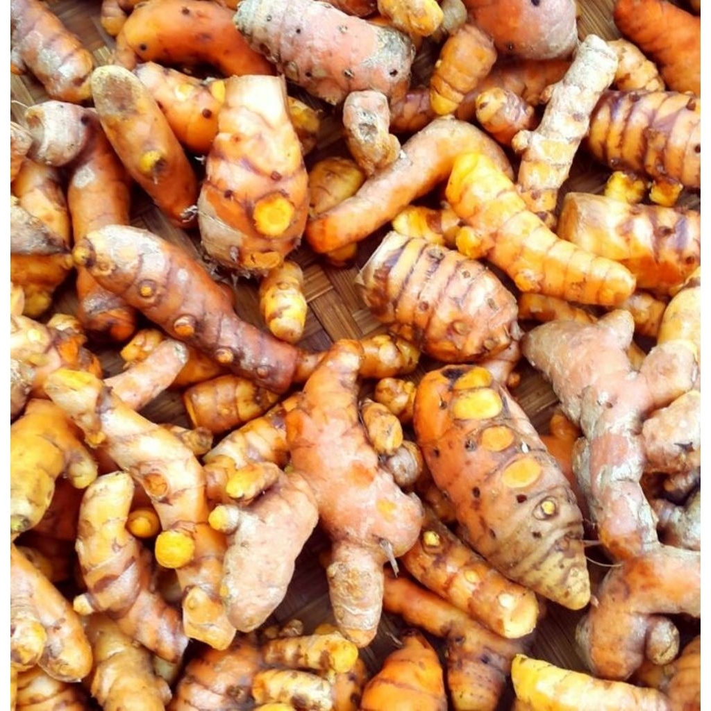 

Kunyit Fresh 500gram – Rempah Herbal Serbaguna