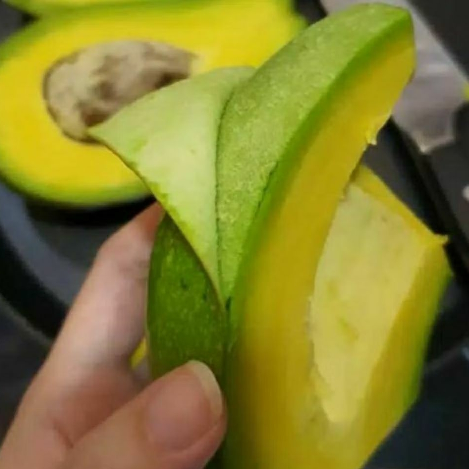 

Alpukat mentega 1 kg besar - besar fresh