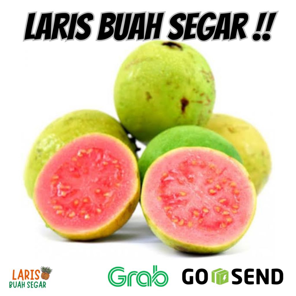 

BUAH JAMBU BIJI MERAH GUAVA FRESH 1 KG