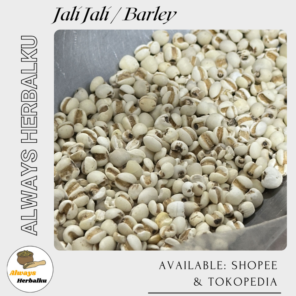 

Jali Jali / Barley / Coix Seed / Yi Yi Ren -50gr