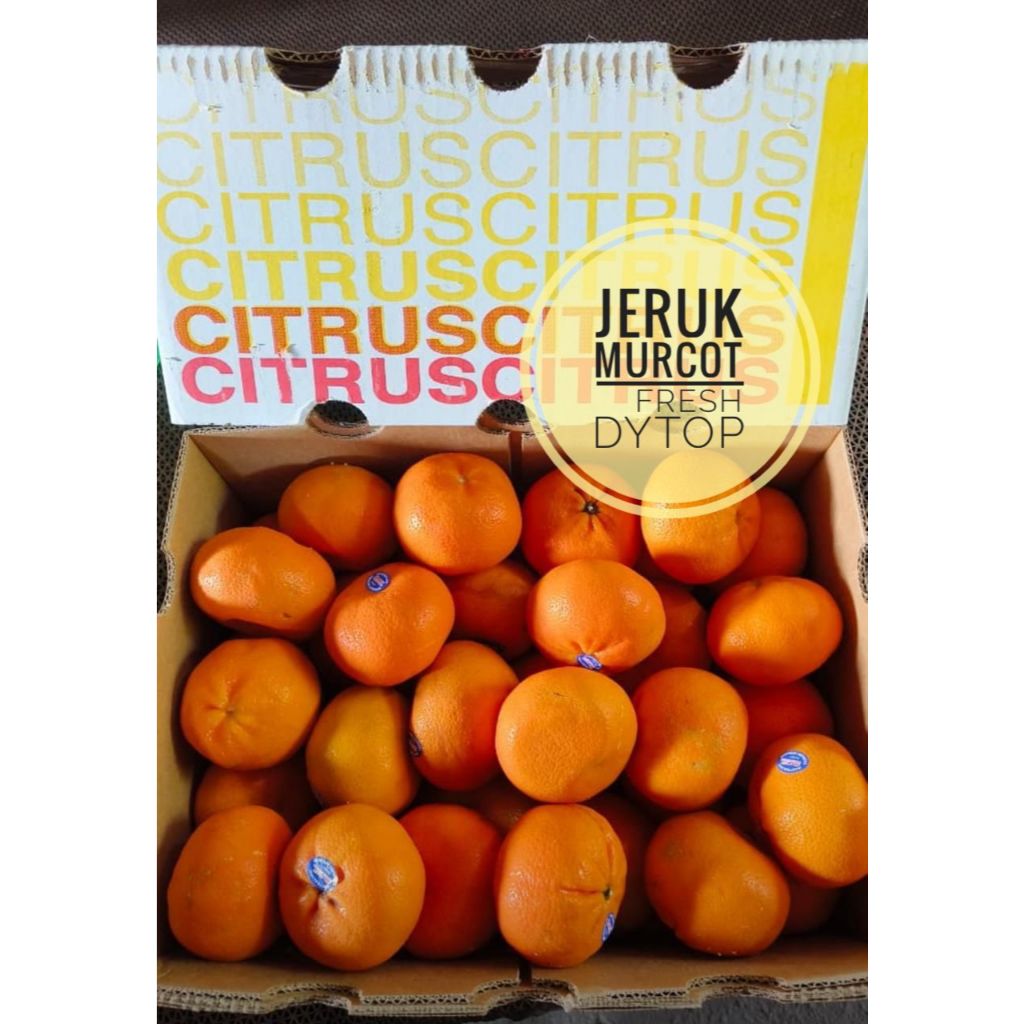 

Buah Jeruk Murcot Import Fresh Manis Segar
