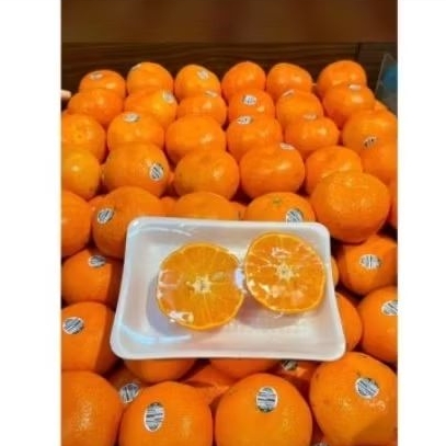 

jeruk murcot empres manis segar tanpa biji 1kg