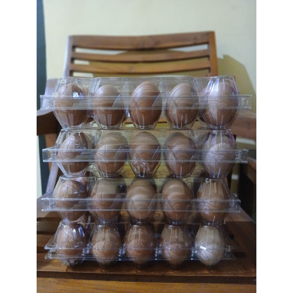 

TELUR OMEGA-3 3× (FRESH) LEBIH BAGUS DARI TELUR BIASA KANDUNGAN KOLESTROL RENDAH