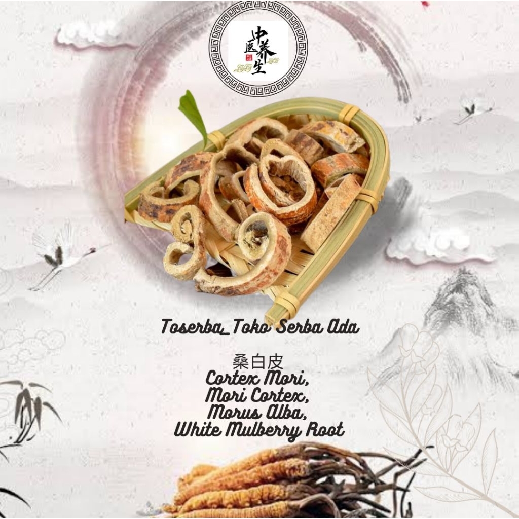 

100gr Herbal Sang Bai Pi 桑白皮 Premium Grade Mori Cortex / Morus Alba L / White Mulberry Root Bark